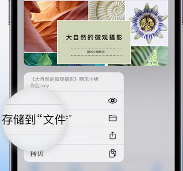 万城镇apple维修中心分享iPhone文件应用中存储和找到下载文件