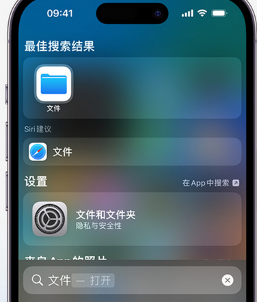 万城镇apple维修中心分享iPhone文件应用中存储和找到下载文件