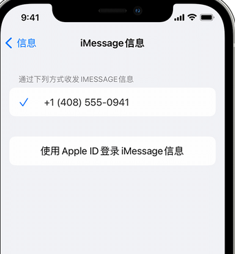 万城镇apple维修iPhone上无法正常发送iMessage信息 