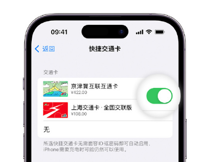 万城镇apple维修点分享iPhone上更换Apple Pay快捷交通卡手绘卡面 