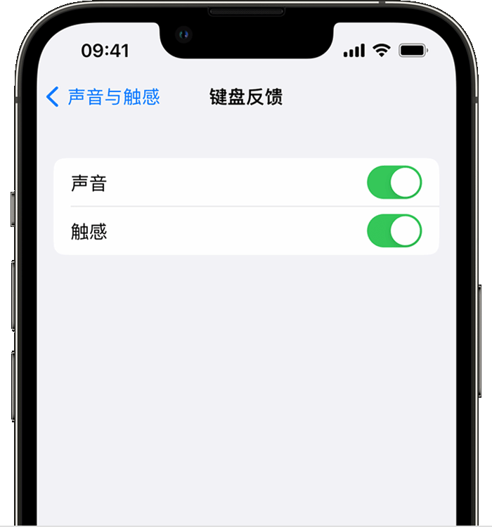 万城镇苹果14维修店分享如何在 iPhone 14 机型中使用触感键盘 