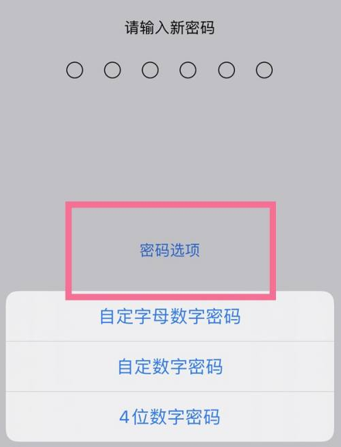 万城镇苹果14维修分享iPhone 14plus设置密码的方法 