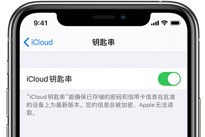 万城镇苹果手机维修分享在 iPhone 上开启 iCloud 钥匙串之后会储存哪些信息 